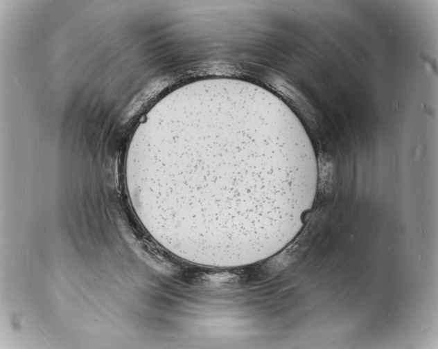 X0000102220158200808151714