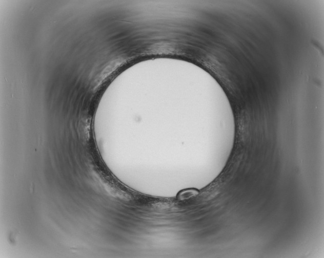 X0000102220160200808151714