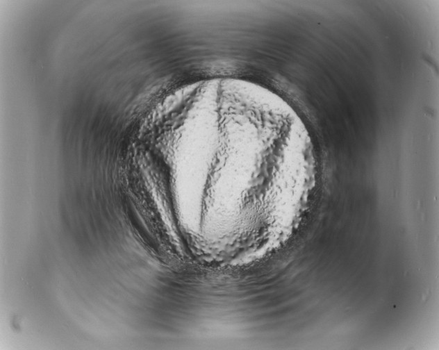 X0000102220161200808151714