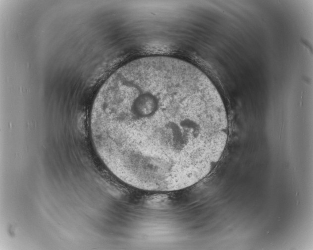 X0000102220162200808151714