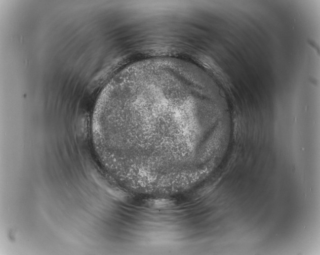 X0000102220165200808151714