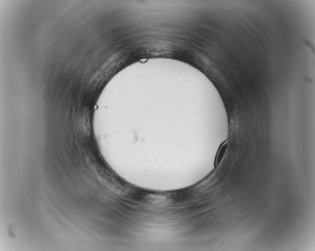 X0000102220170200808151714