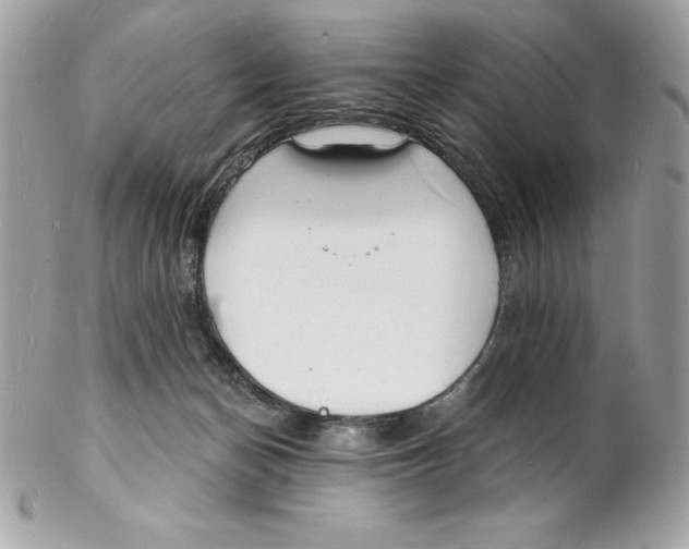 X0000102220174200808151714