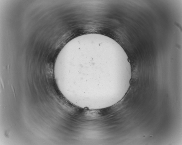 X0000102220179200808151714