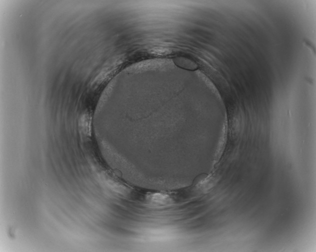 X0000102220180200808151714