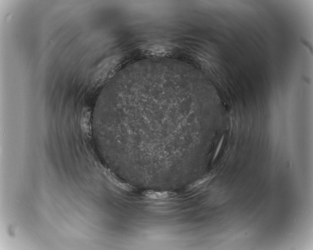 X0000102220181200808151714