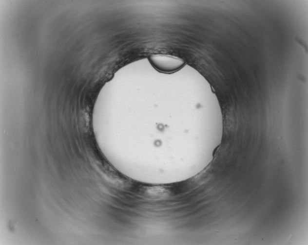 X0000102220183200808151714