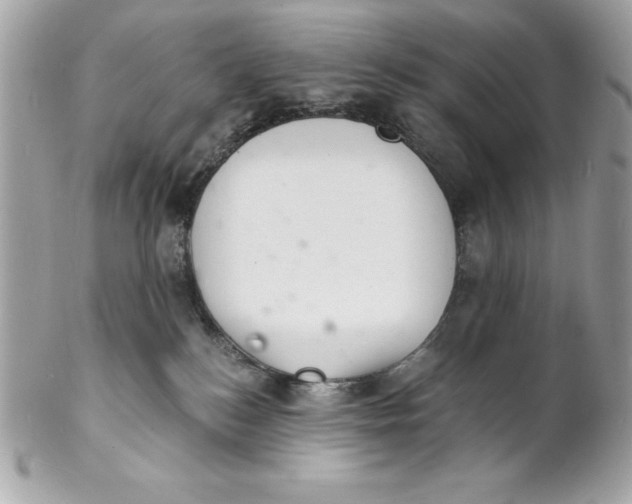 X0000102220184200808151714