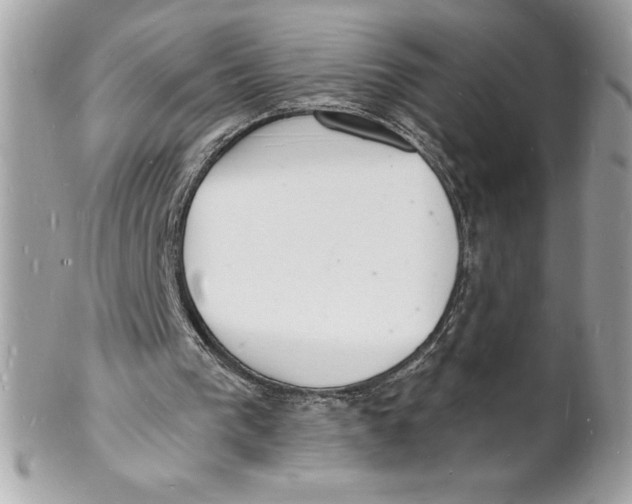 X0000102220193200808151714