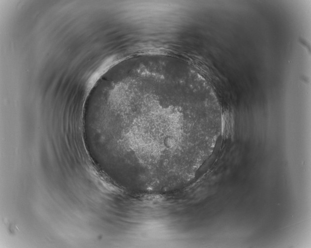 X0000102220195200808151714