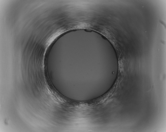 X0000102220196200808151714