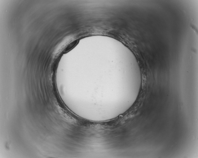 X0000102220197200808151714