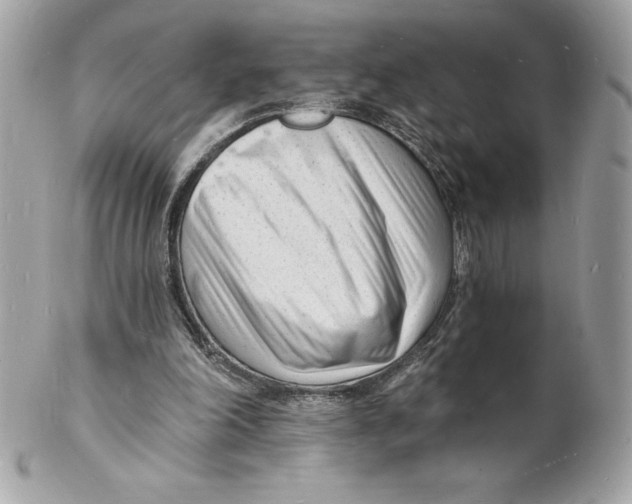 X0000102220198200808151714