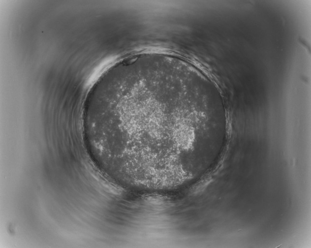 X0000102220199200808151714