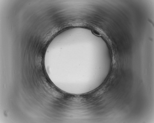 X0000102220201200808151714