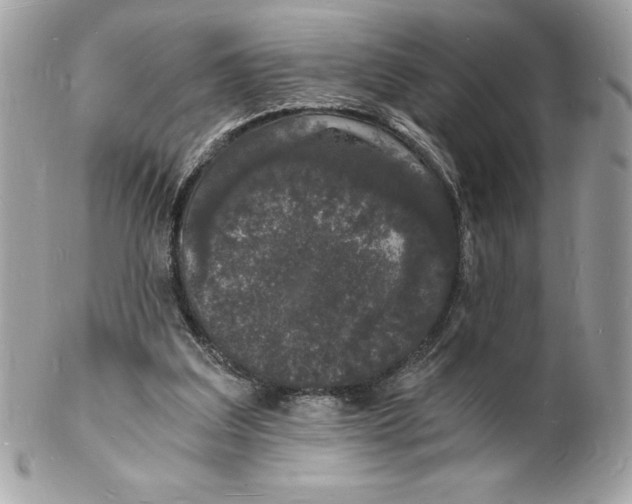 X0000102220203200808151713