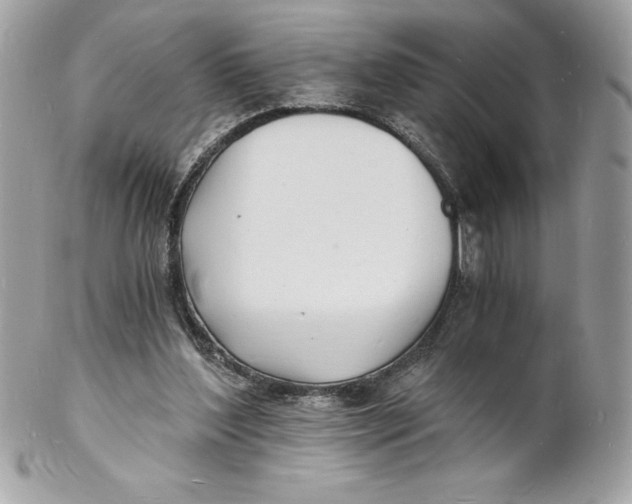 X0000102220204200808151713