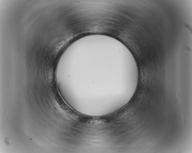 X0000102220208200808151713