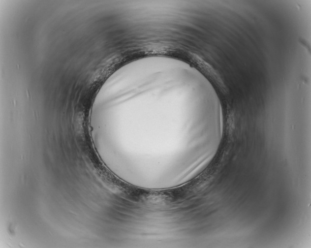 X0000102220209200808151713