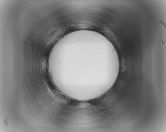 X0000102220210200808151713