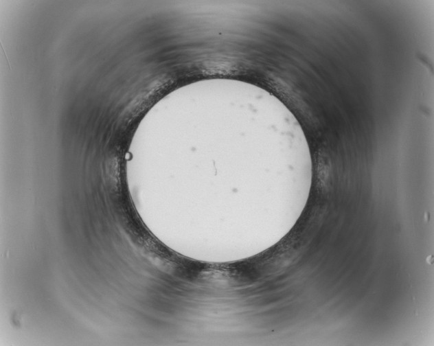 X0000102220211200808151713