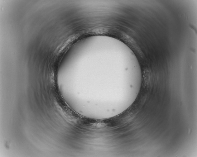 X0000102220212200808151713