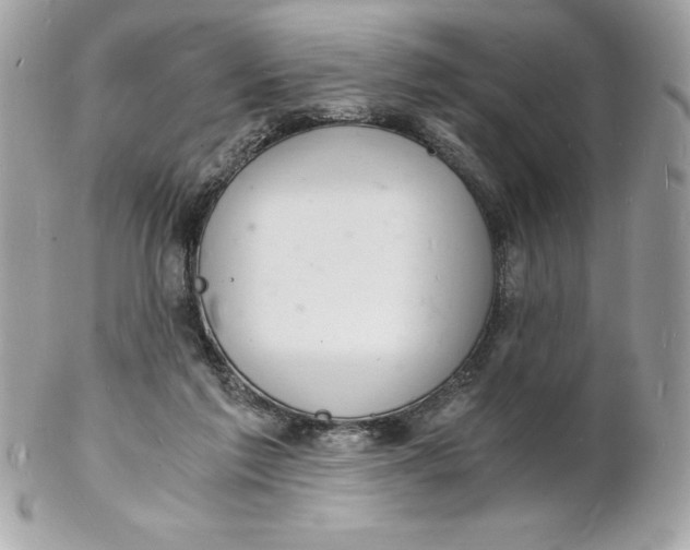 X0000102220213200808151713