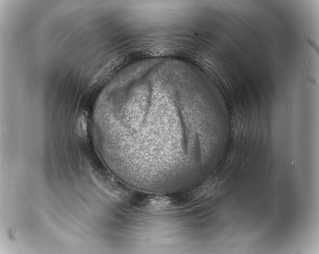 X0000102220214200808151713