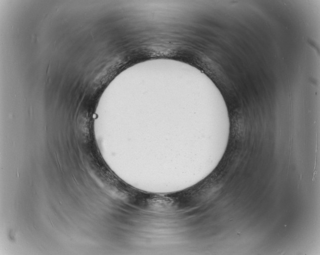 X0000102220215200808151713