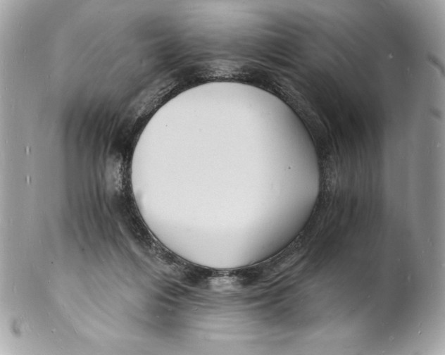 X0000102220216200808151713