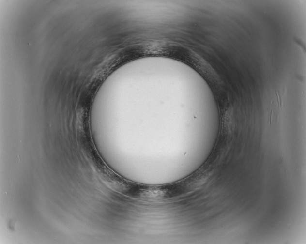 X0000102220217200808151713