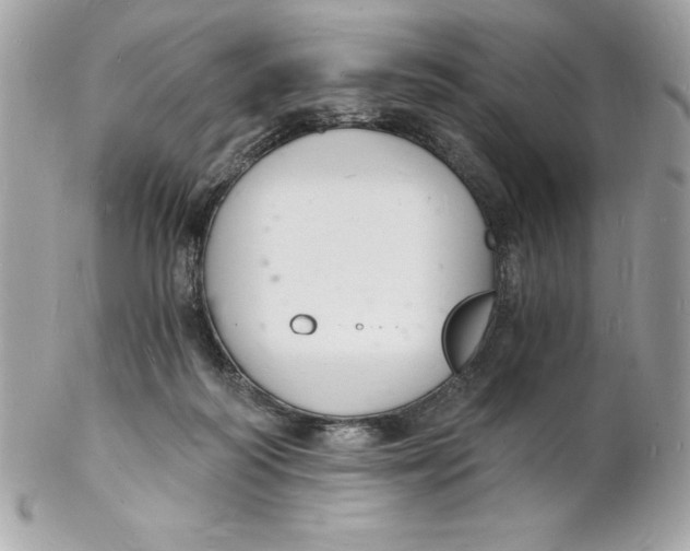 X0000102220218200808151713