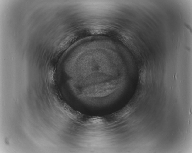 X0000102220219200808151713