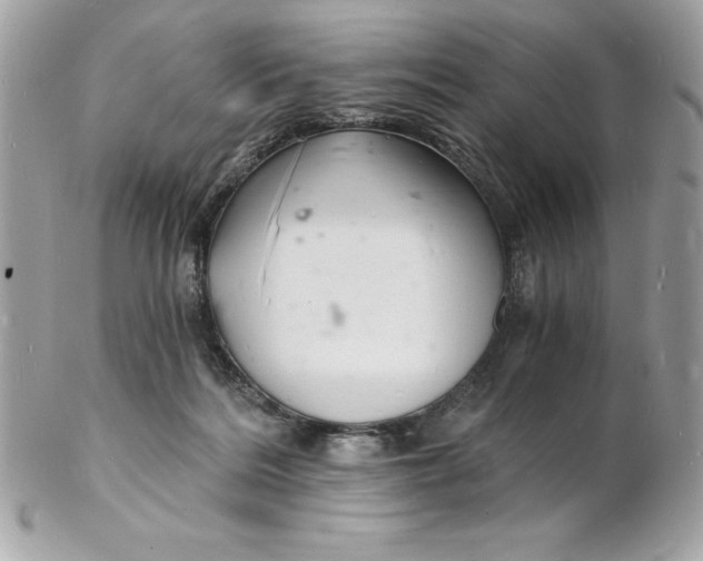 X0000102220220200808151713