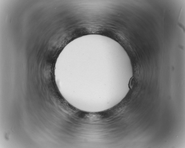 X0000102220221200808151713