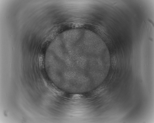 X0000102220222200808151713