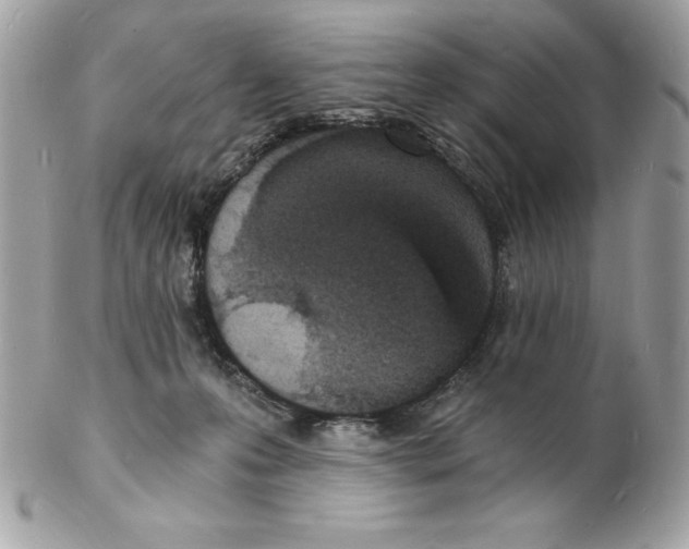 X0000102220223200808151713