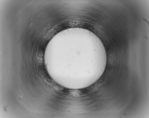 X0000102220226200808151713