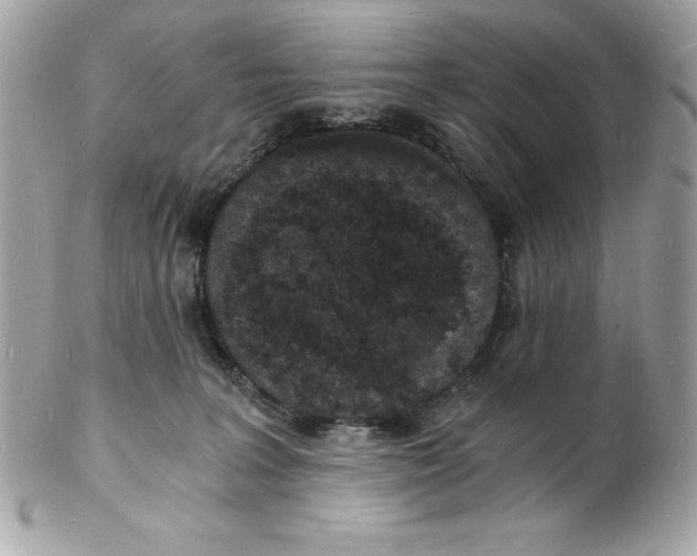 X0000102220227200808151713