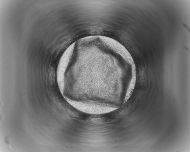 X0000102220228200808151713