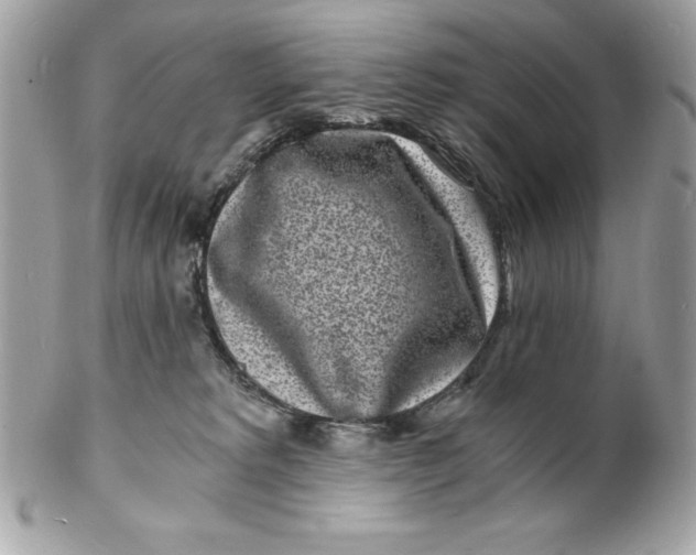 X0000102220229200808151713