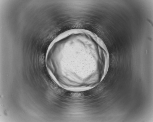 X0000102220230200808151713