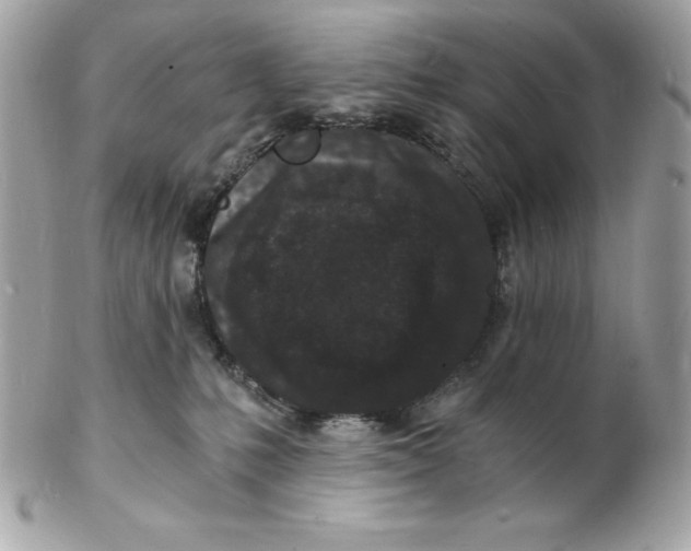 X0000102220231200808151713