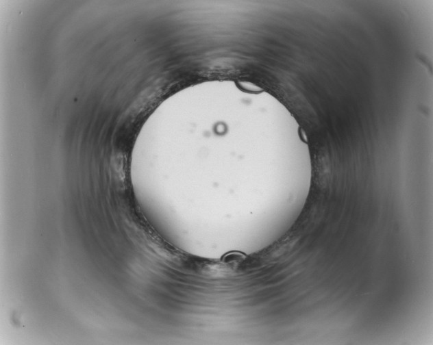 X0000102220232200808151713