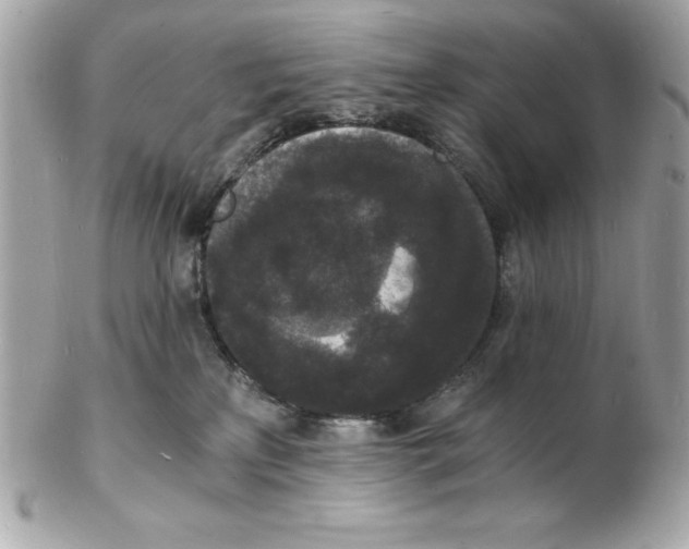 X0000102220233200808151713