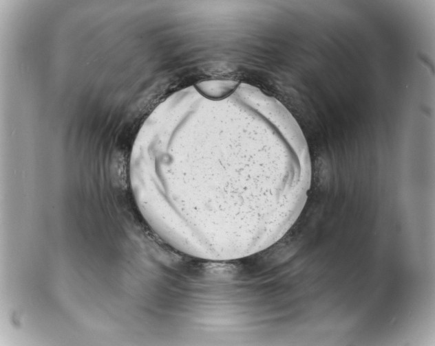 X0000102220234200808151713