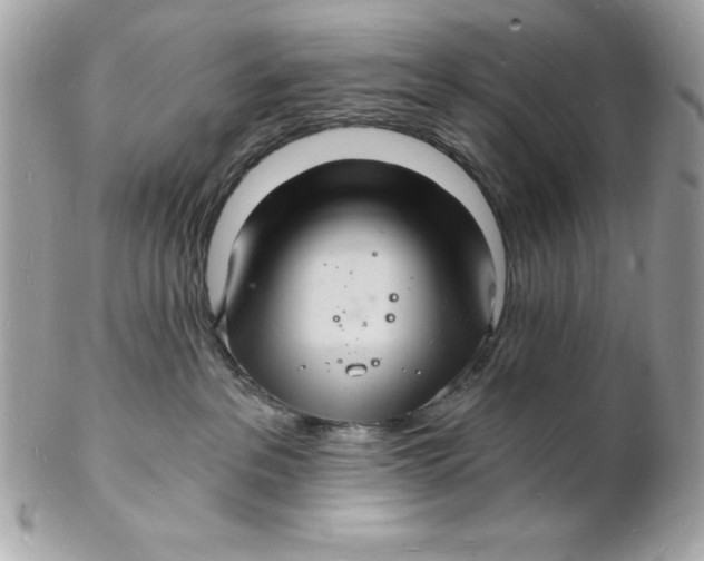 X0000102220237200808151713