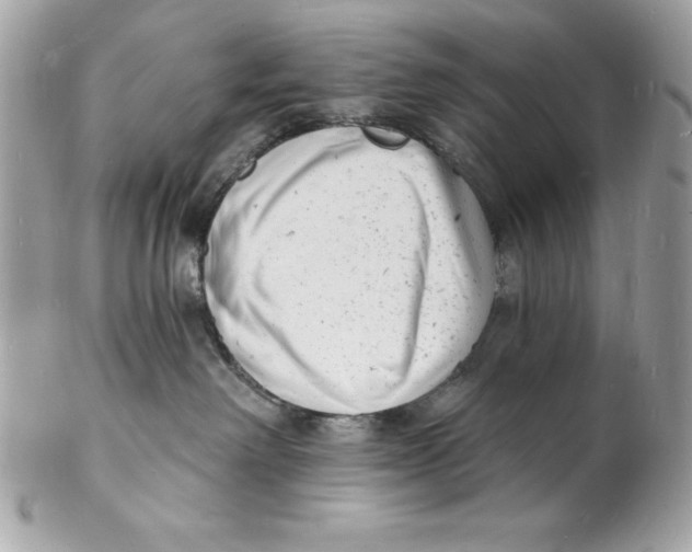 X0000102220238200808151713