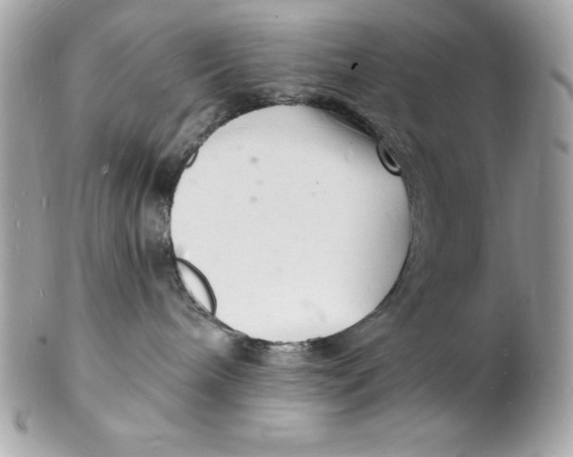 X0000102220240200808151713