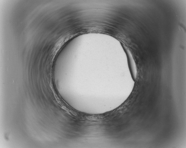 X0000102220241200808151712